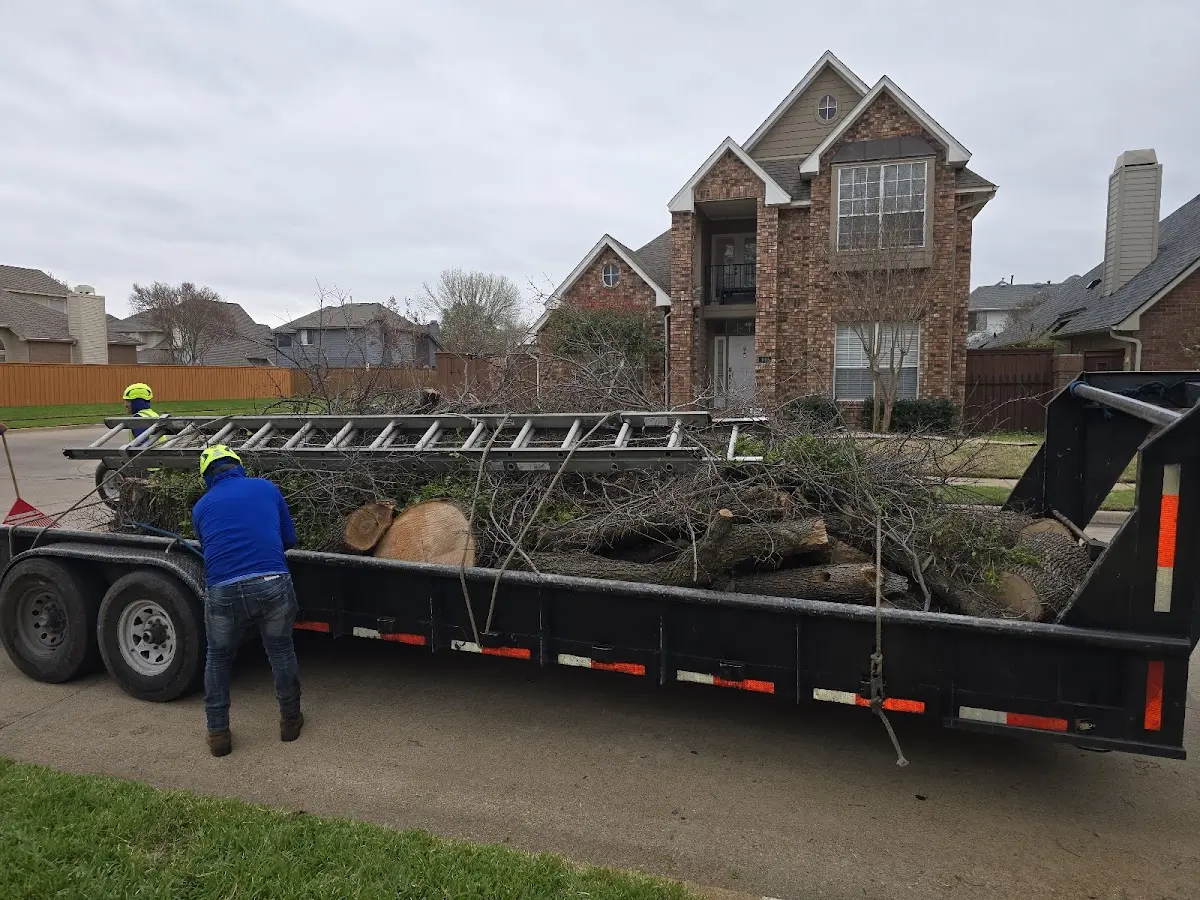 Expert Lot Clearing with proper safety equipment in Ebro